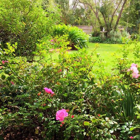 Bindley House B&B Cottage Kilmore Екстериор снимка