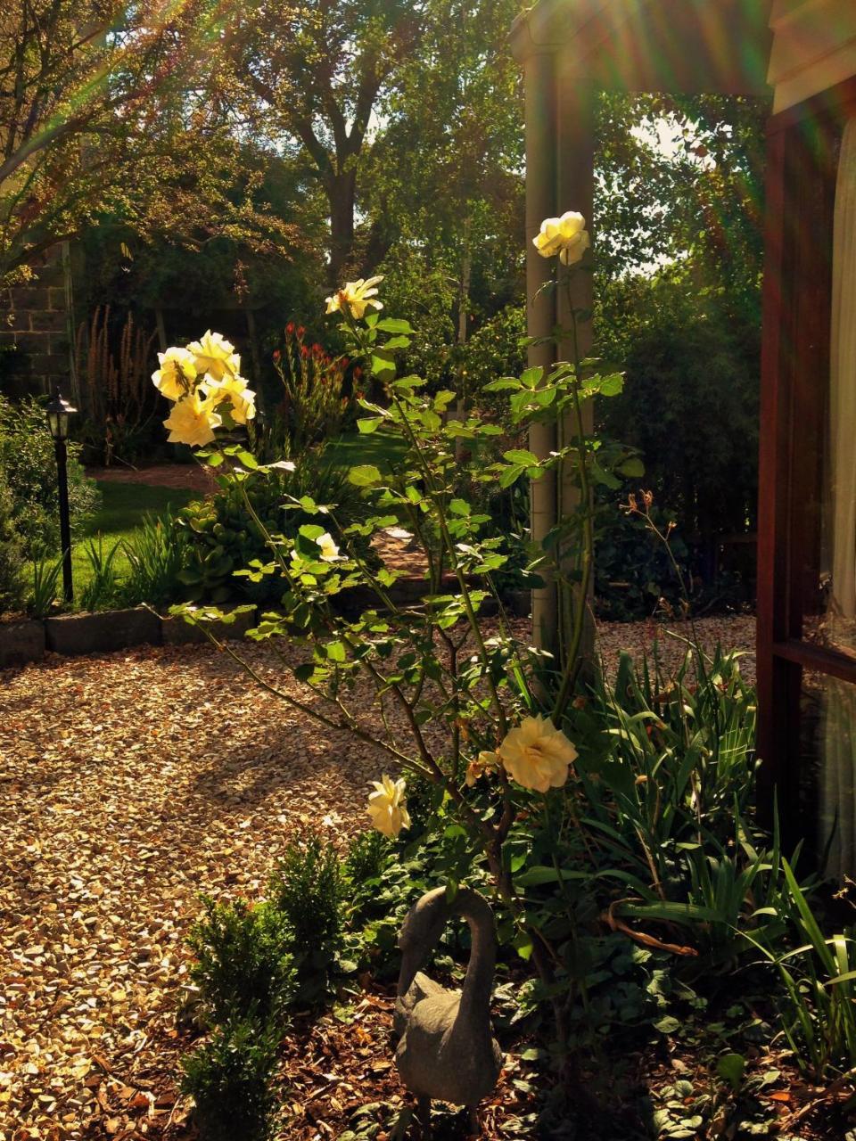 Bindley House B&B Cottage Kilmore Екстериор снимка
