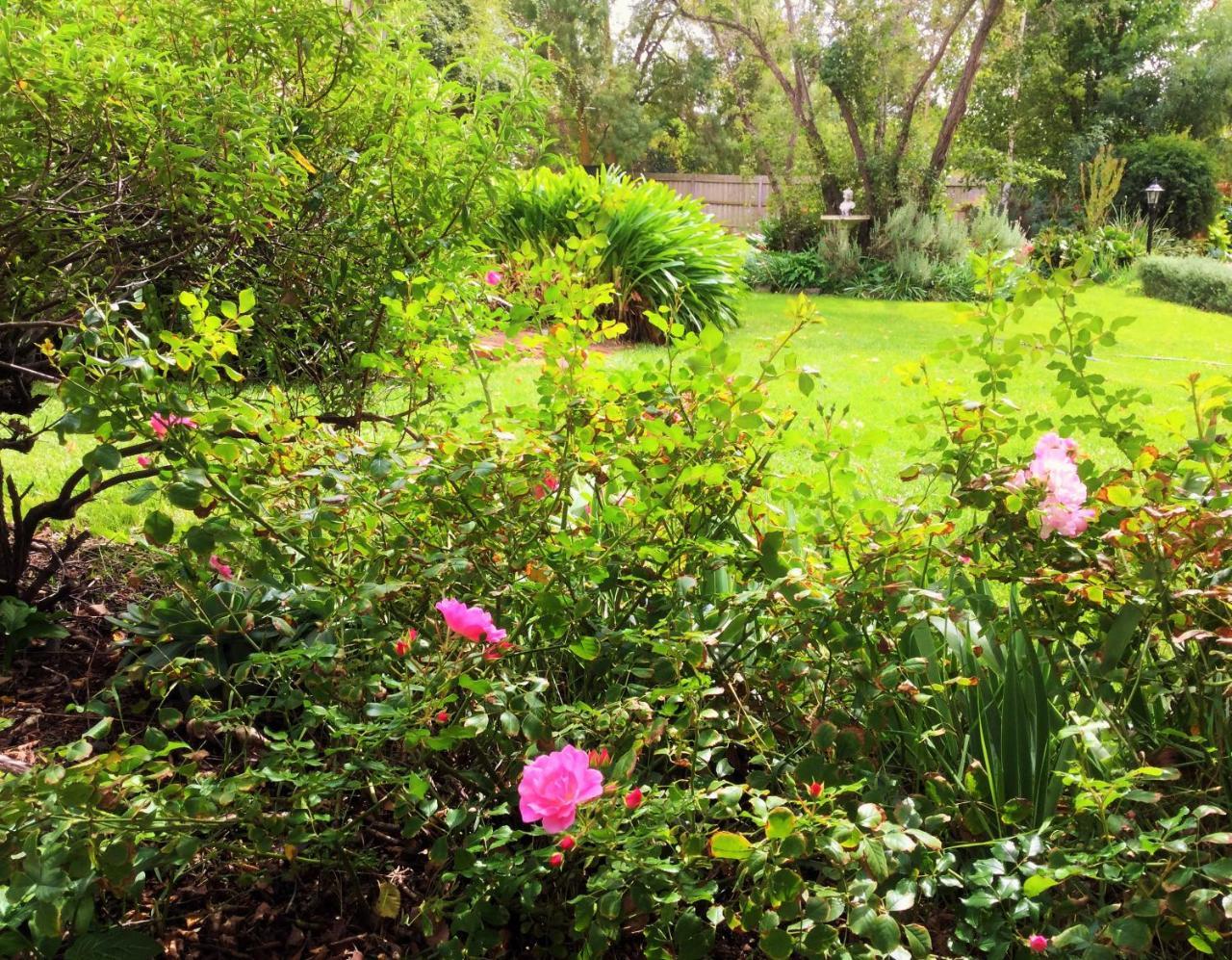 Bindley House B&B Cottage Kilmore Екстериор снимка